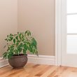 Green Room Corner